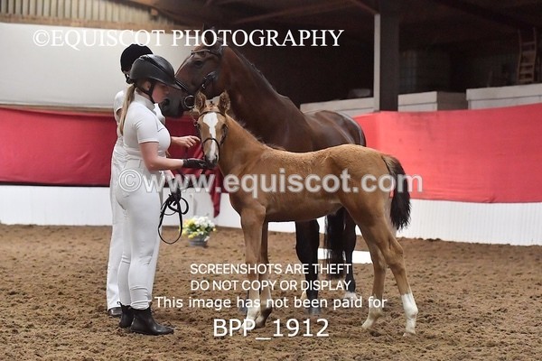 BPP_1912 - AFTERNOON 12.30 - 3.30PM