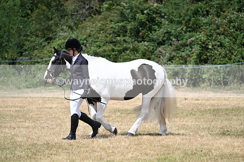 WJ7_1725 - Class 4 Prettiest Mare up to 14.2hh in hand