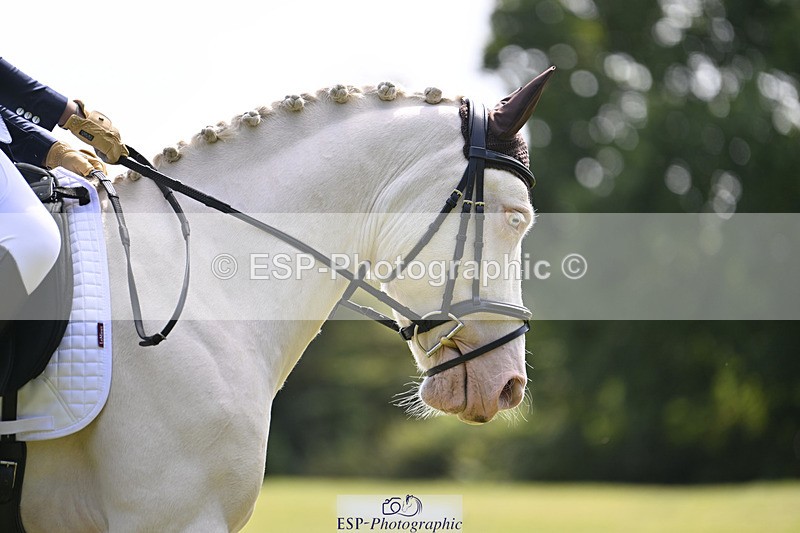 240824X-115453-26100 - D80 Section E and F 11.00 to 12.00