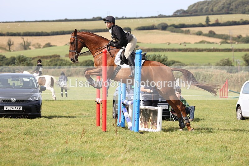 JPP_8660 - Class 2: Trekenning: 80cm Showjumping