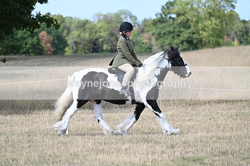 WJ7_7093 - Class 14 Ridden Coloured