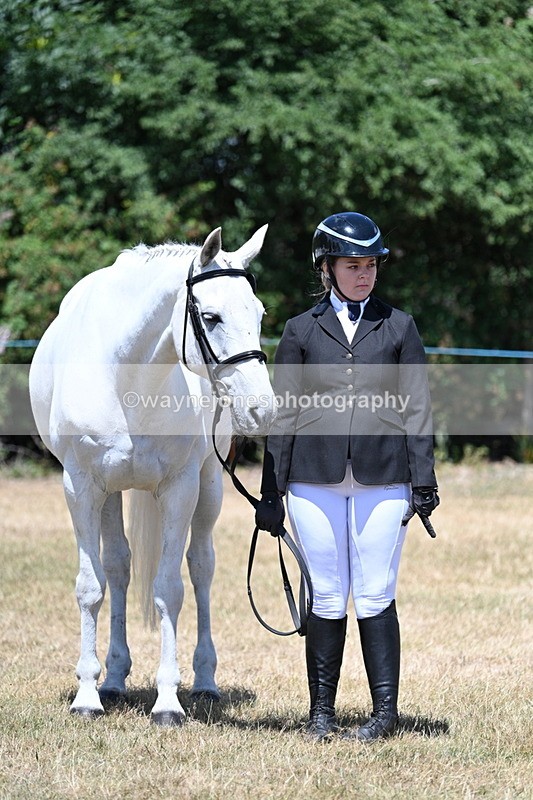 WJ7_2363 - Class 5a Most Handsome Gelding in hand (above 14.2hh)