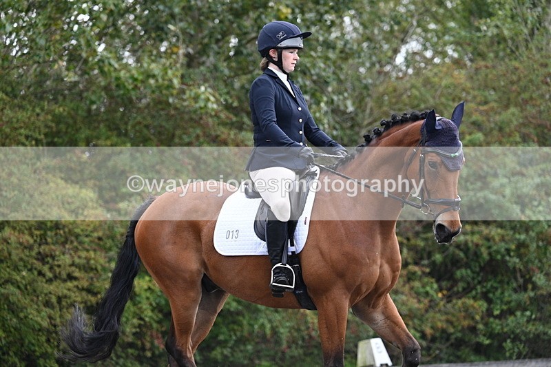 WJ7_3380 - Time 09:54 to 10:54