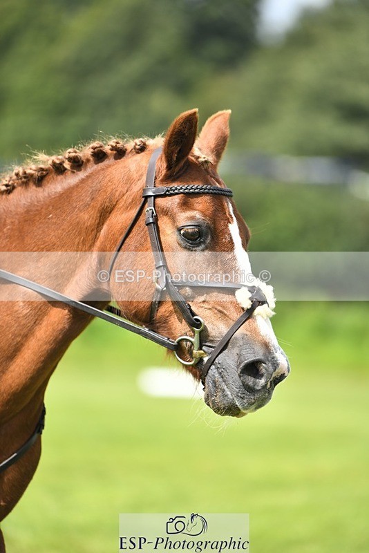 230826-125330-19592 - PC 70 Start to 1pm