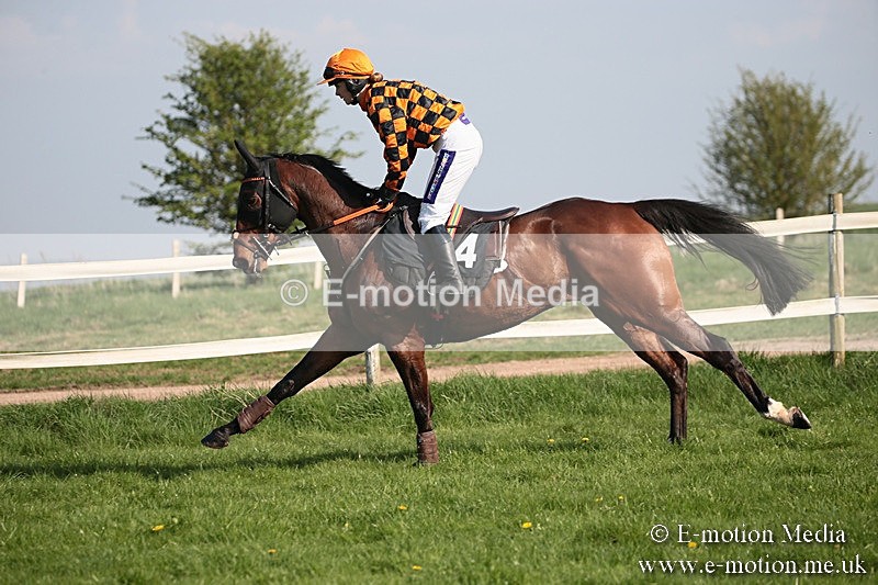 PtP 210418 476 - South & West Wilts Point-to-Point Larkhill 21/04/18