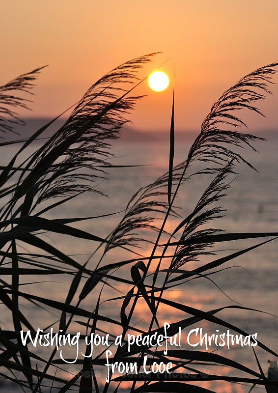 NO stock LO92  Hannafore sunrise view portrait - XMAS CARDS Looe Polperro and General Cornwall