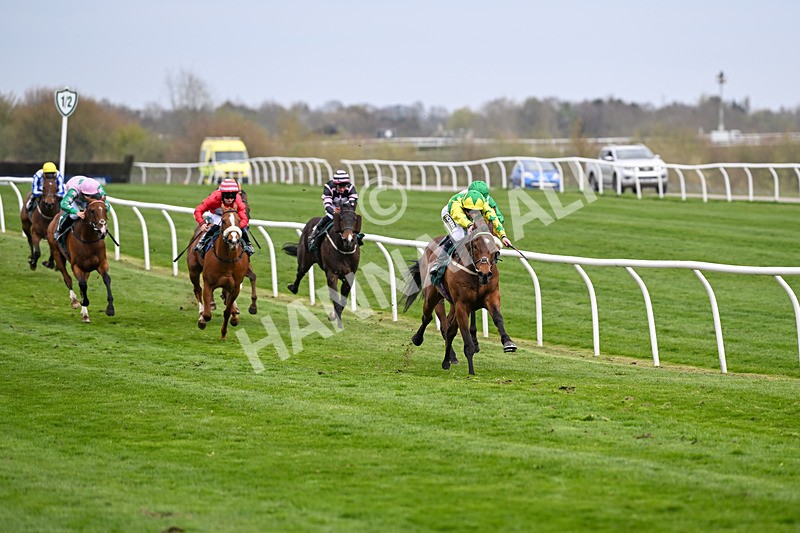 090425-Race 6-Green Pursuit-0179 - Race 6