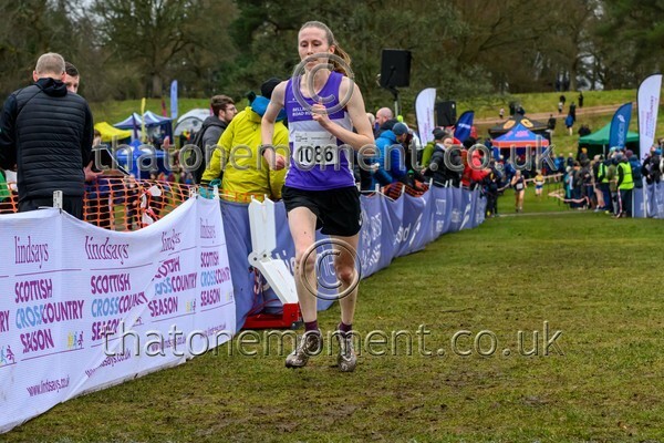 Falkirk26-913601 - Senior Women Set Two