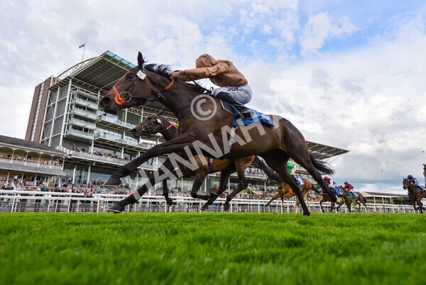 yr22052022r7-26 - Race 7: 6:40pm Sky Bet Sunday Series Fillies' and Mares Stakes