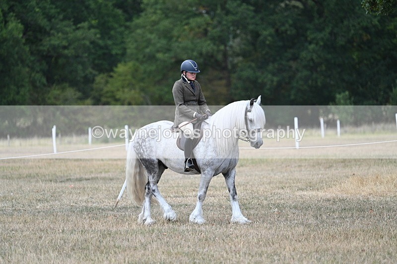 WJ7_4731 - Class 12 Ridden Cob