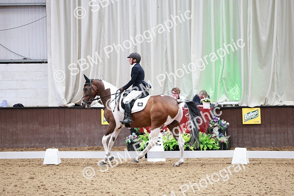 SBM_014143 - Class 7 - Ele FSM Bronze 12.12.13.08