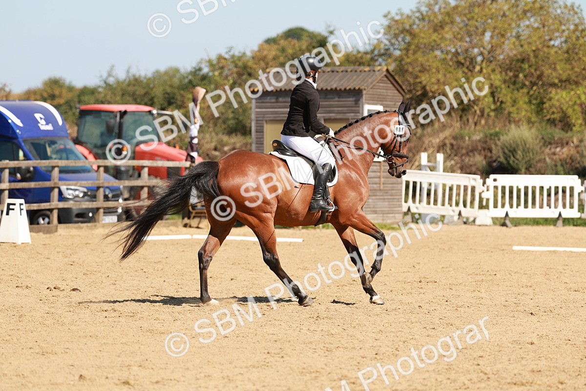 SBM_010810 - Class 7 - Novice 2