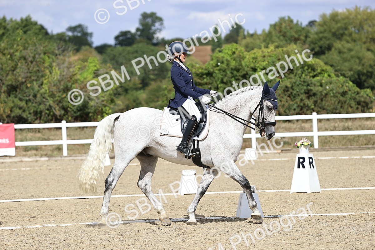 SBM_015171 - Class 5 - E5 Bronze 14.42.15.54