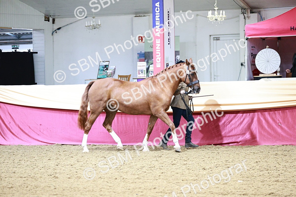 SBM_00163 - Class 1A - Area IH Diamond