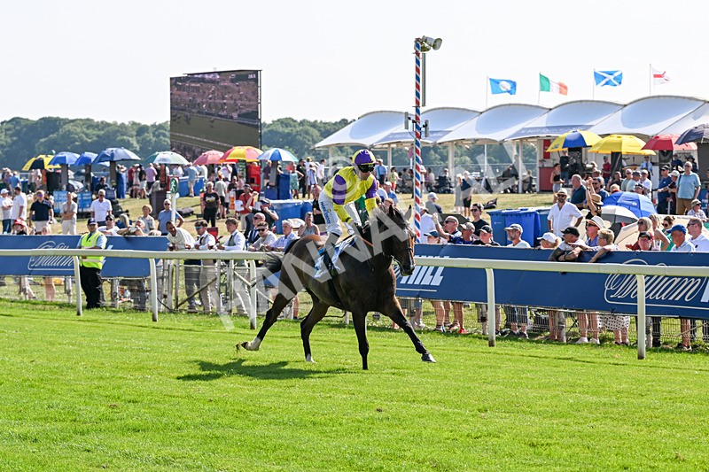 100726-Race 5-Dark Moon Rising-0437 - Race 5 16.30pm Azets Handicap