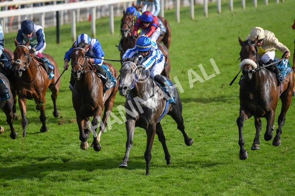 250823-Race 7-Silver Sword-1219 - Race 7 5.15pm Sky Bet Mile Handicap