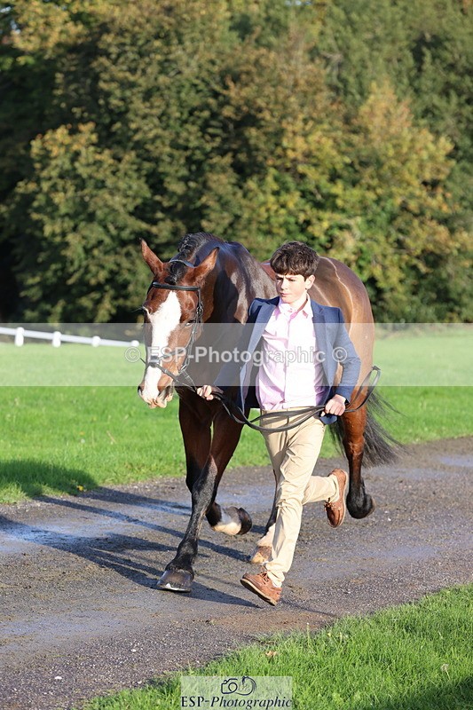 251026A-094934-22511 - D-351-Thomas.Harris