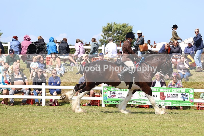 3E7A2907 - Class 13: Heavy Horse Ridden