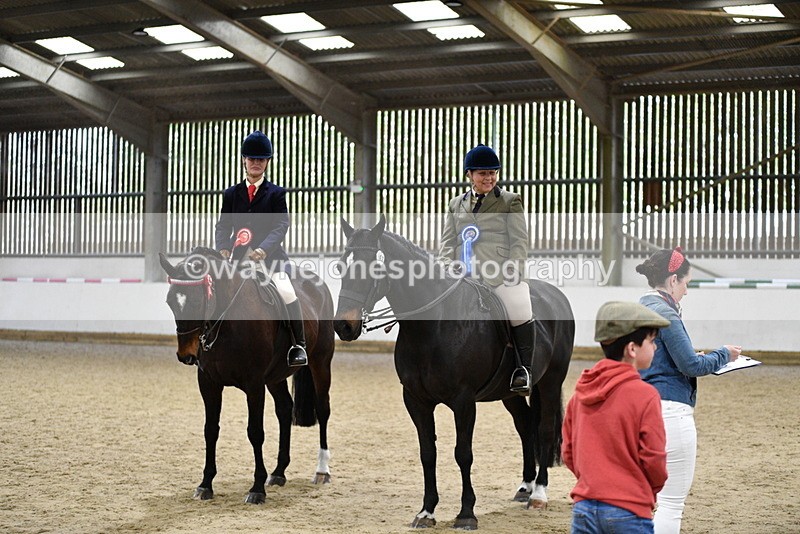 WJ5_8106 - Class 13 Ridden Part Breed