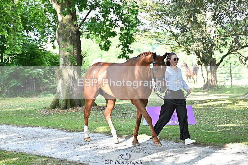 250521A-164729-01332 - C-259-Jasmine.Holmes-MSH.BONANZA