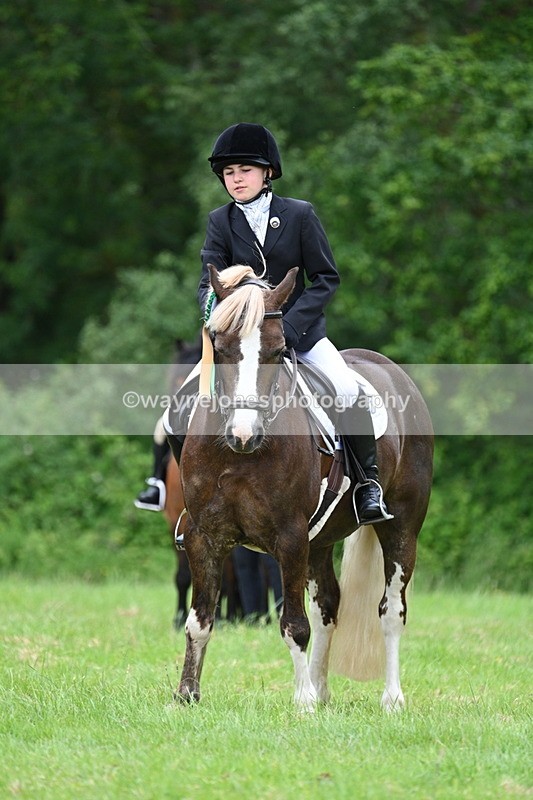 WJ7_4246 - Class 14A Handsome Gelding