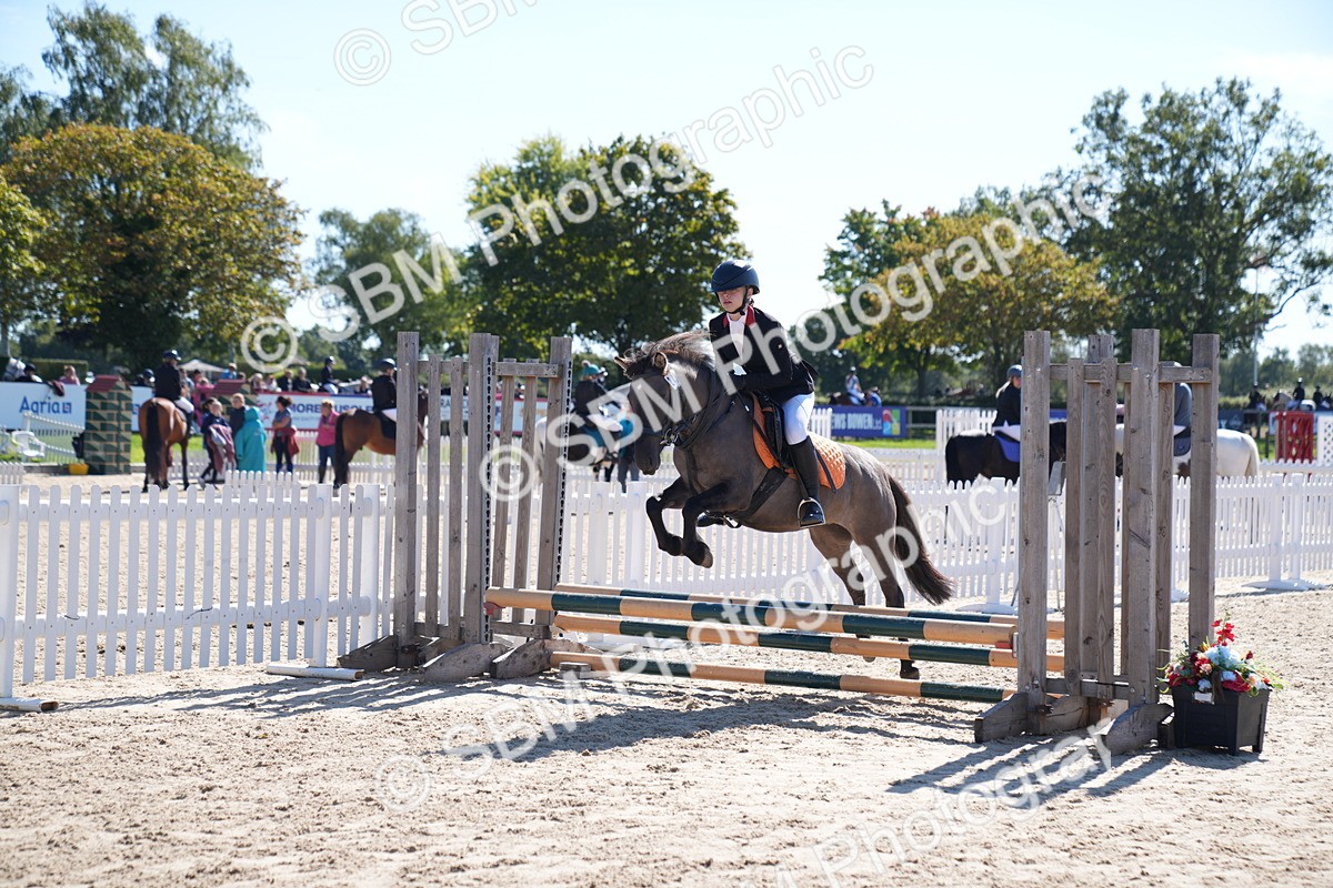 SBM_19525 - J57 - Clear Round 50cm