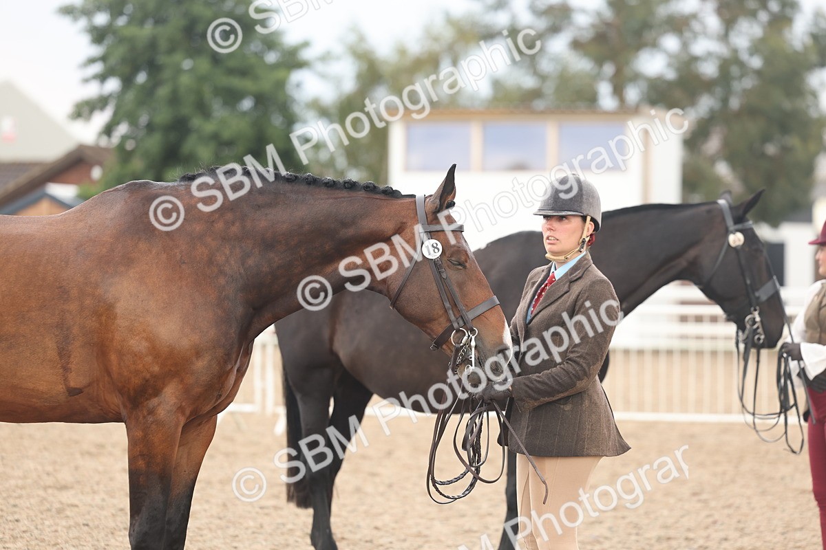 SBM_07869 - Class 28 - IH Veteran Horse