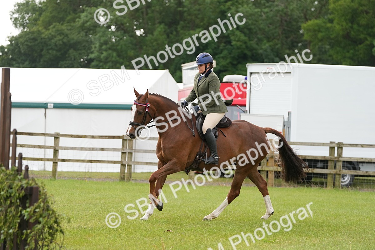 SBM_10611 - Class 97-98 - LIHS BSHA Rising Star Working Show Horse Hunter