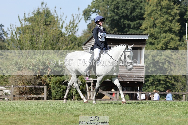 250823A-115608-29342 - Arena D