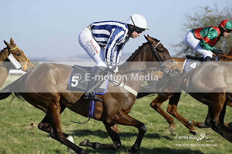 PtP 270222 69 - South & West Wilts Point-to-Point Larkhill 27/02/22