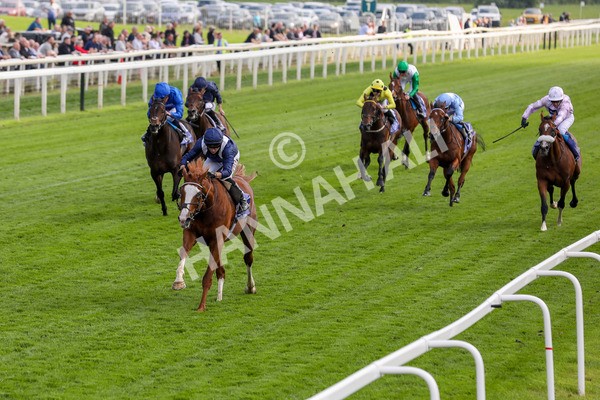 160524-Race 4-Economics-1865 - Race 4 3.45pm Al Basti Equiworld Dubai Dante Stakes