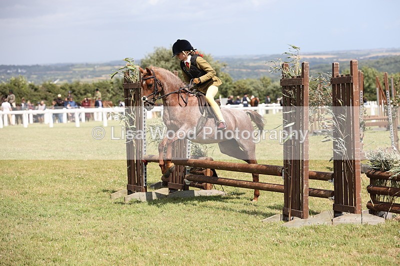 JPP_2130 - Class 19: Working Hunter 60cm