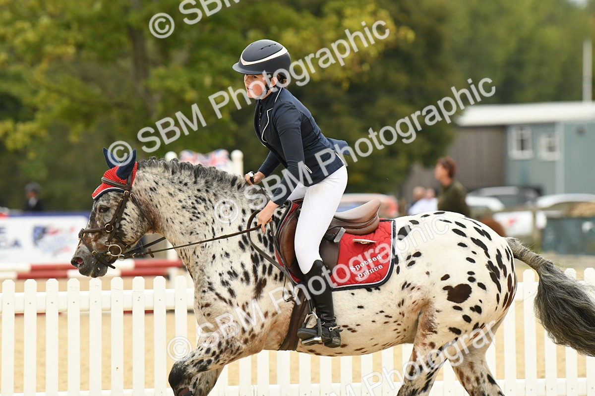 SBM_73102 - J16 - Junior Pony 75cm Championship