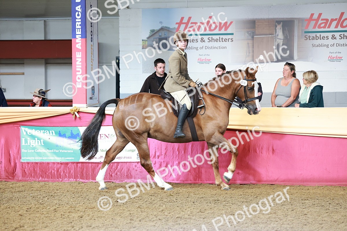 SBM_11969 - Class 102 - Equitation (Best Rider) Adult