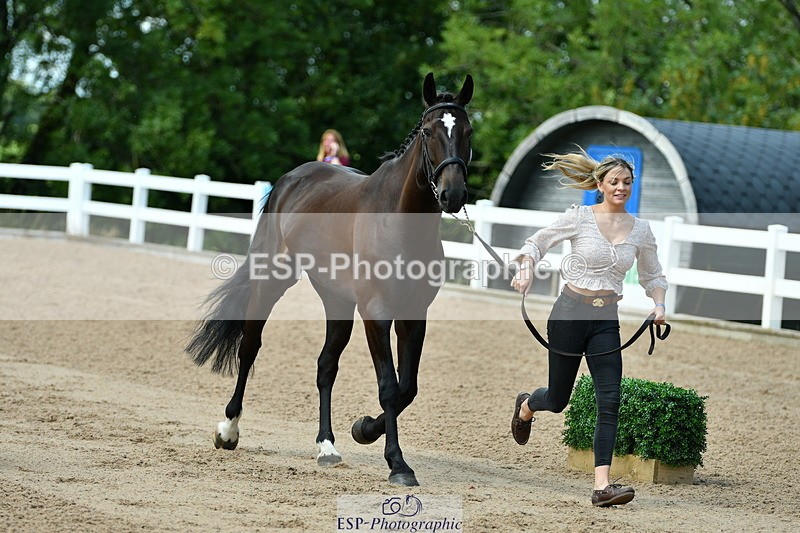 230719A-123944-00200_Trot Up 12pm to 1pm - 079-756-5000