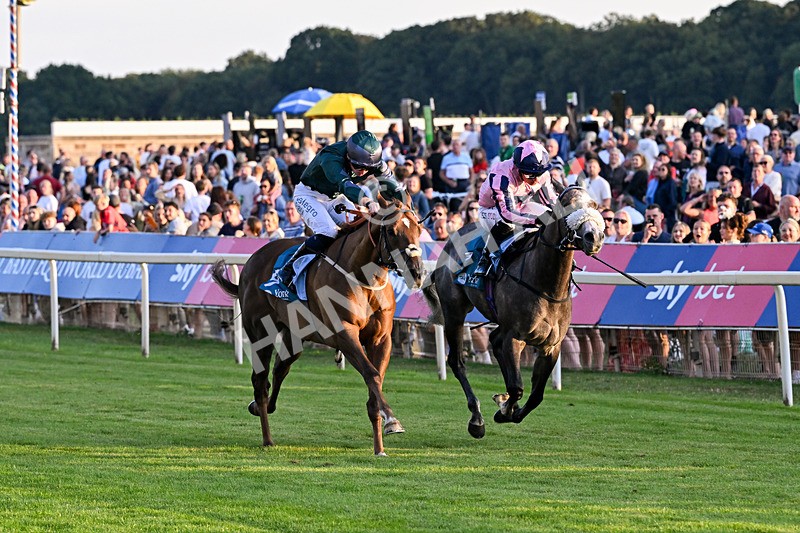 240726-Race 6-Explosive Finnish-5591 - Race 6 20.25pm Sky Bet Go-Racing-In-Yorkshire Summer Festival Handicap