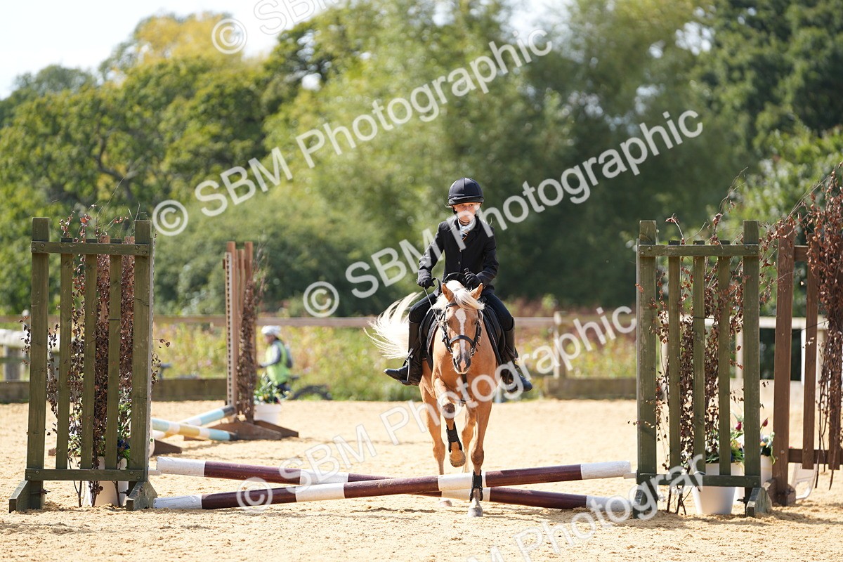 SBM_65716 - J2 - Mini Tour Junior Pony 30cm Championship