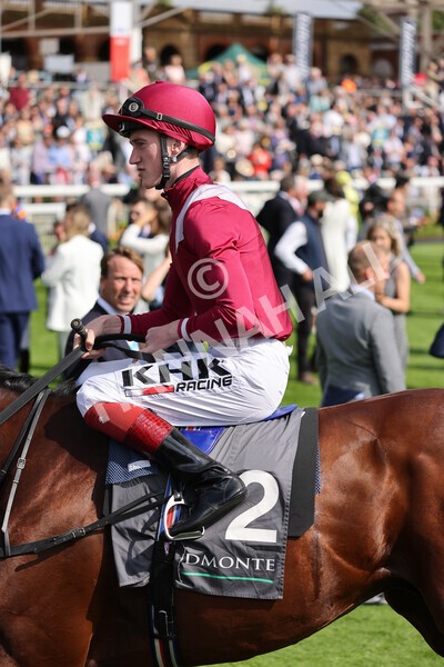 yr18082021r4-30 - Race 4 3.35pm Juddmonte International Stakes (British Champion Series race)