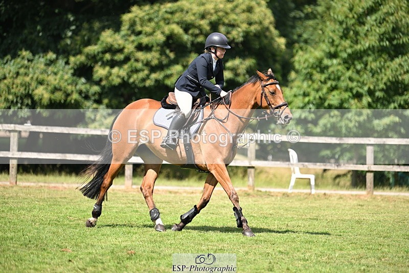 250704A-110027-07131 - Cls 25 Snr British Novice and 90cm