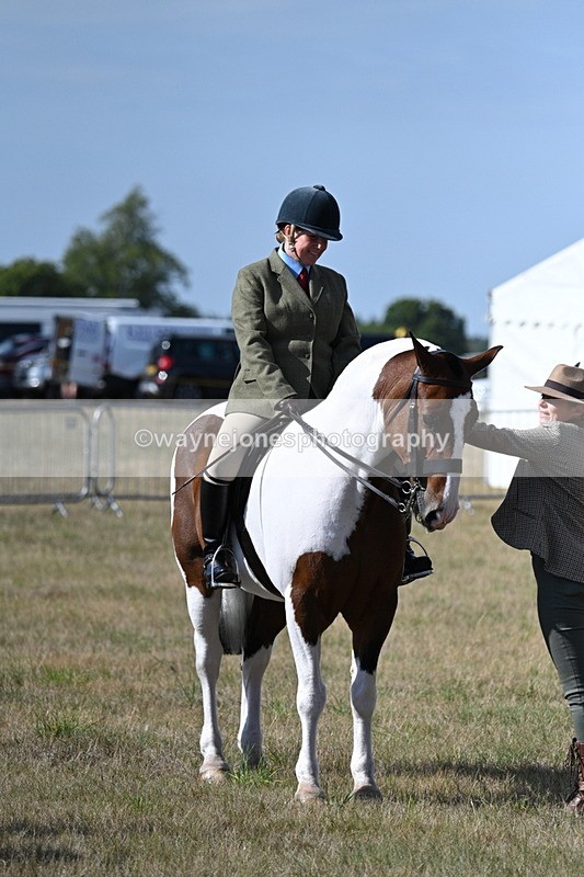 WJ7_2717 - Class 8 Ridden Tack & Turnout
