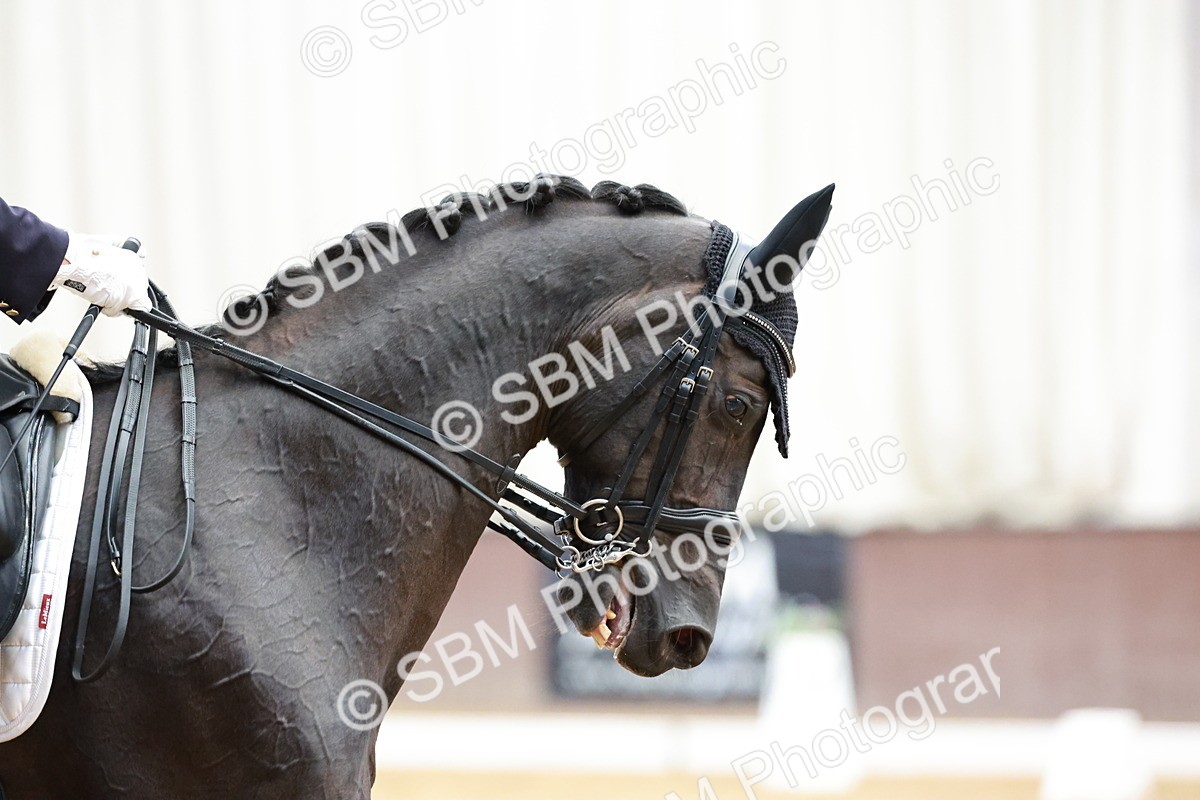 SBM_013401 - Class 3 - FEI PSG - 12.03-13.07