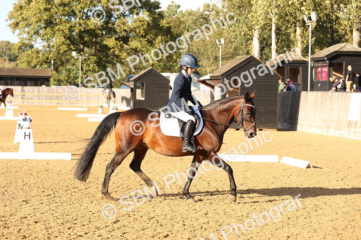 SBM_52781 - D12 - Small Tour Championship prelim 2