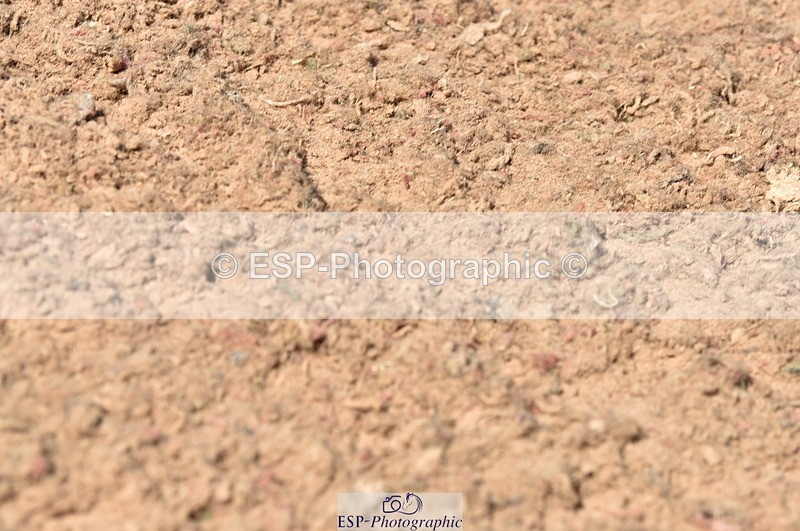 230810A-114604-00941 - Cls 9 Foxhunter