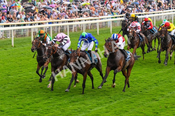 100923-Race 6-Anjo Bonita-1071 - Race 6 4.25pm Hanson Springs 60th Anniversary Handicap at York