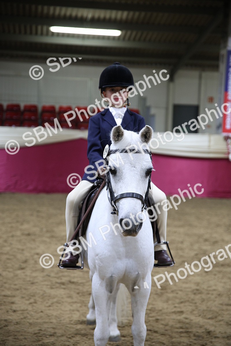 SBM_19039 - Class G Ridden Pony Champ