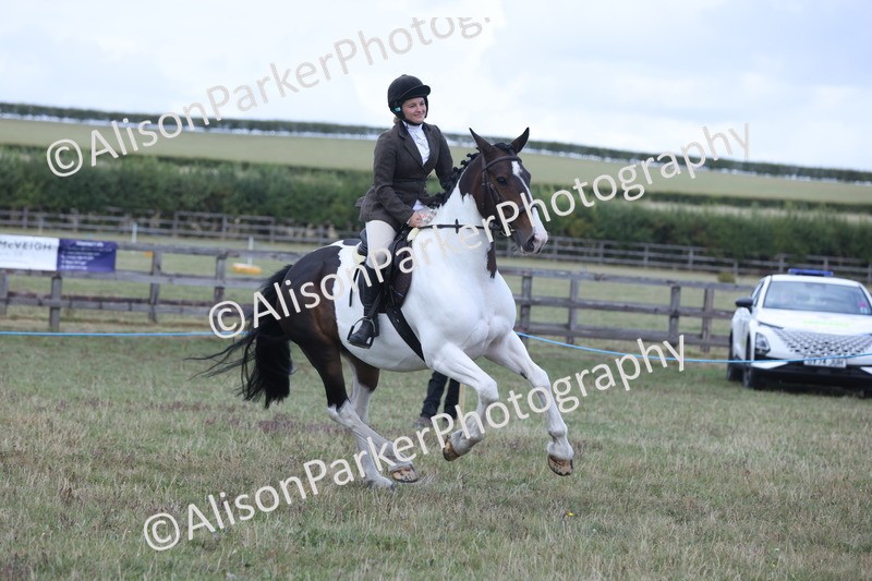 20250831-4383 - Class 20 - Ridden Coloured