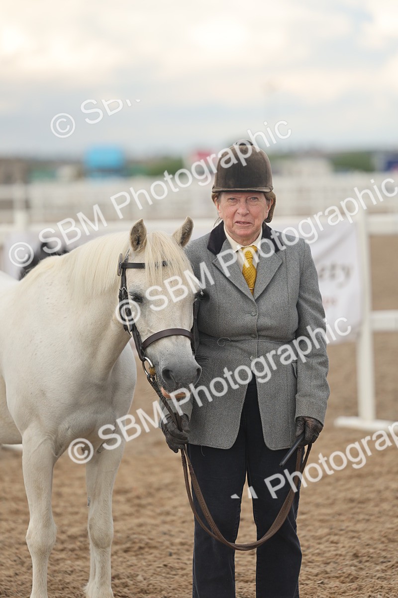 SBM_08550 - Class 29 - IH Veteran Pony