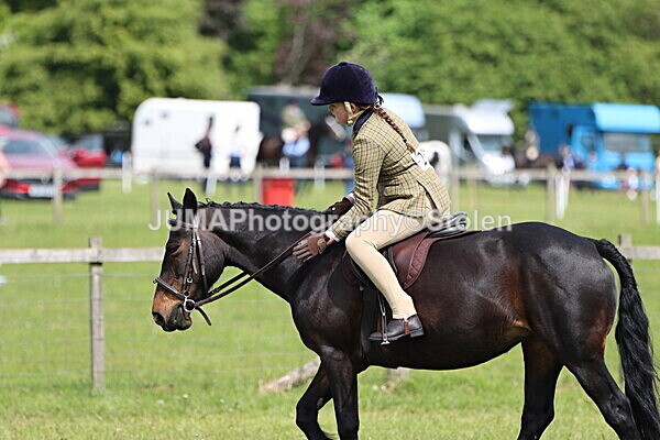 IMG_3139 - Working Hunter