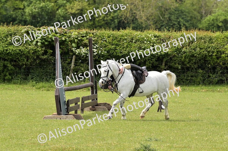 20260426-2412 - Class 21 - Working Hunter Ponies