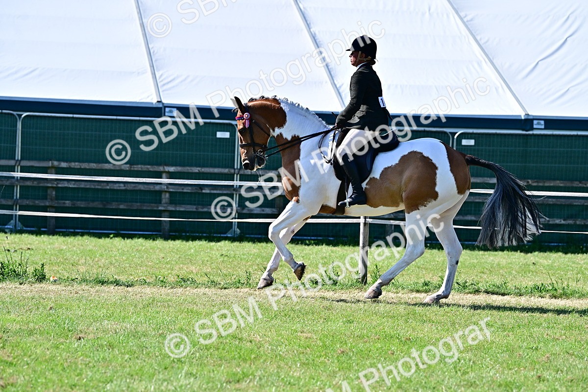 SBM_19498 - Class 101-102 - BSPS LIHS Performance Coloured Horse/Pony